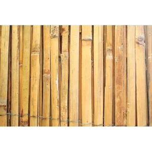 Garduri din bambus
