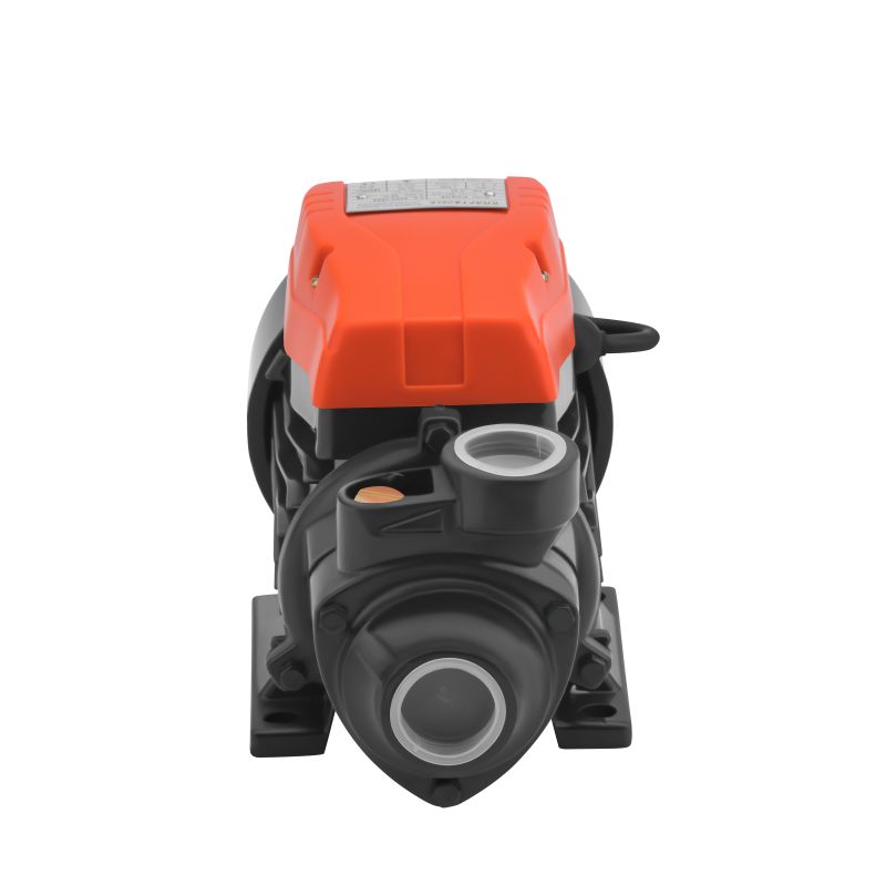 Pompă de apă, 650W, 60lmin KD808 (3)