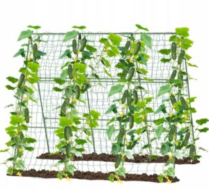 Suport pentru plante cu plasă, 1,8x2,7m | Garden Line